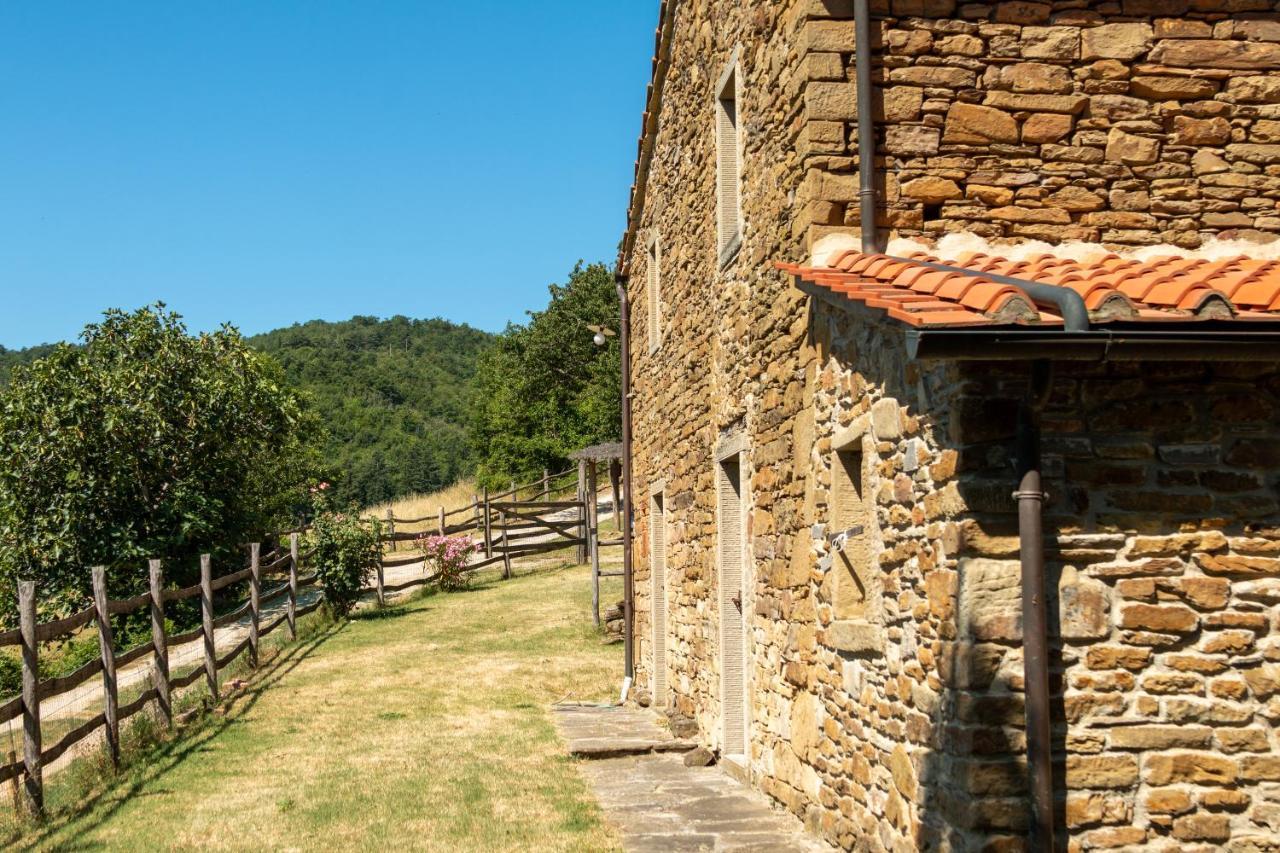 Agriturismo Con Piscina In Toscana, Tribbiano Ареццо Экстерьер фото