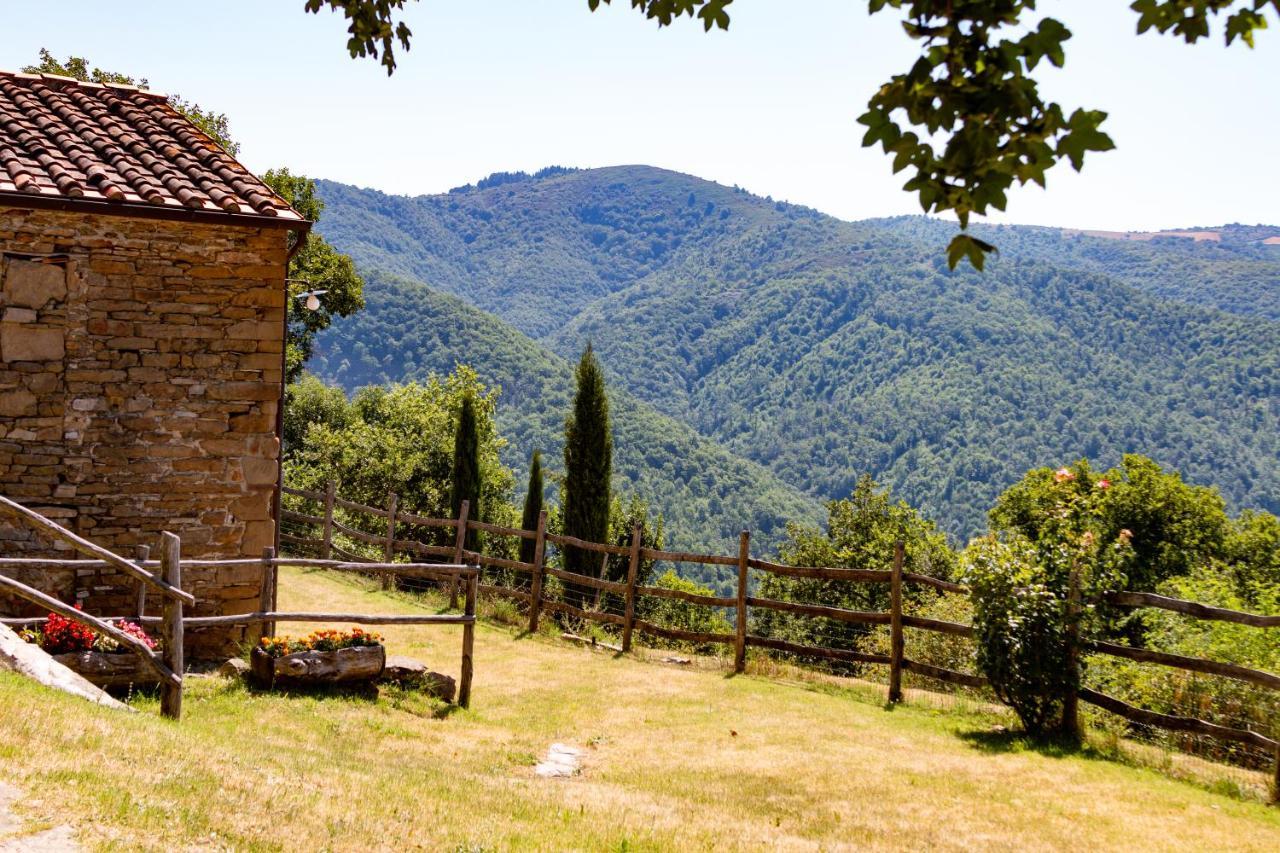 Agriturismo Con Piscina In Toscana, Tribbiano Ареццо Экстерьер фото